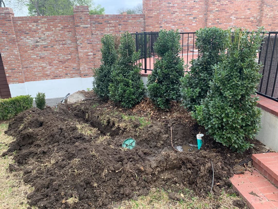 Garden area with freshly dug soil and evergreen shrubs lined on a brick wall backdrop.